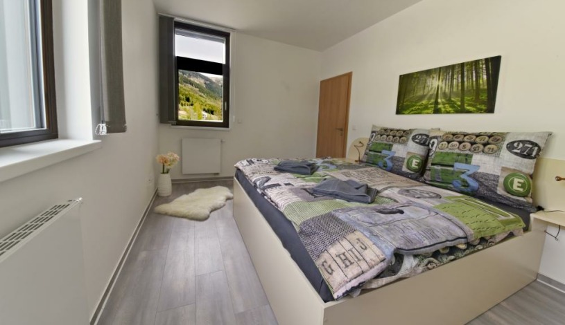 Apartmány Zvon Špindlerův Mlýn Špindlerův Mlýn - Apartmá č. 102 (2+kk)